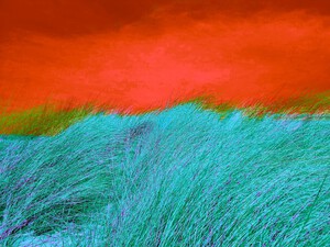 Dune 4