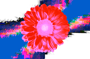 Orangebom 8