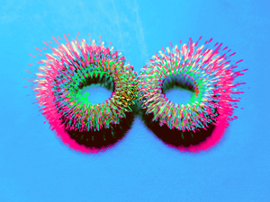 Sprung4