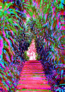 Stepz 5