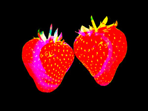 Strawbs 4