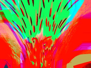 Toolilly 2