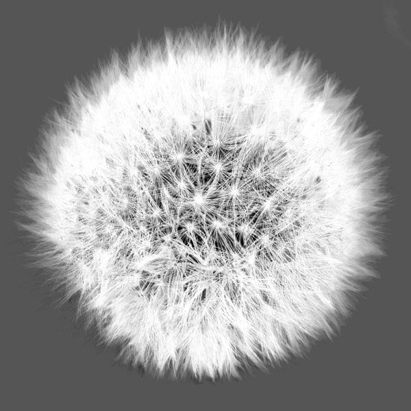 20220908 222437 Print