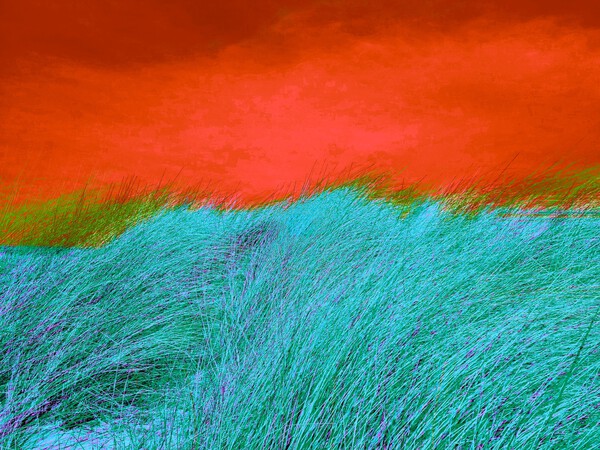 Dune 4 Print