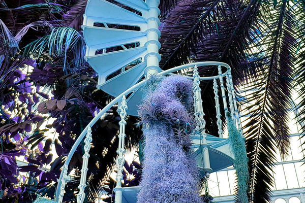 Spiral 1 Print