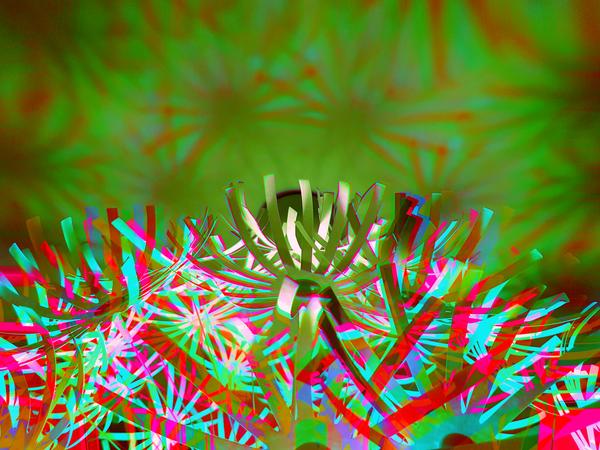 Spyda 1 Print