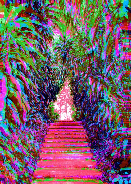 Stepz 5 Print