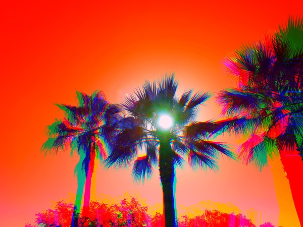 SunPalm 1 Print