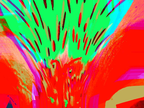 Toolilly 2 Print