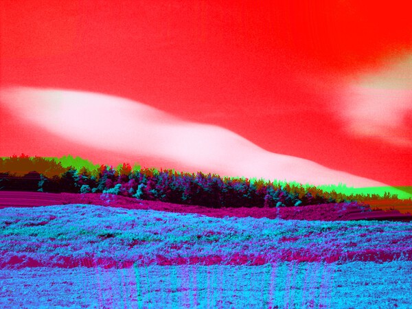 Whisper 1 Print
