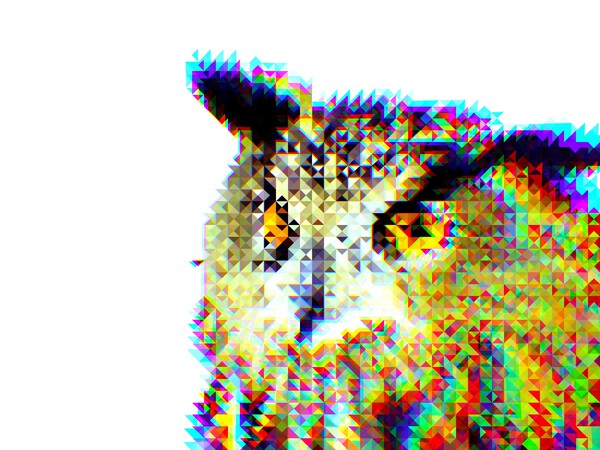 Wisdom 3 Print