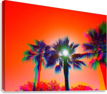 SunPalm 1 Canvas Print