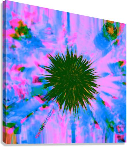 Hover 7 Canvas Print