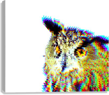 Wisdom 3 Canvas Print