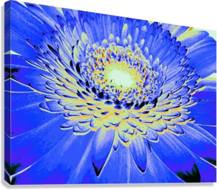 Crater 3 Canvas Print