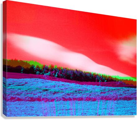 Whisper 1 Canvas Print