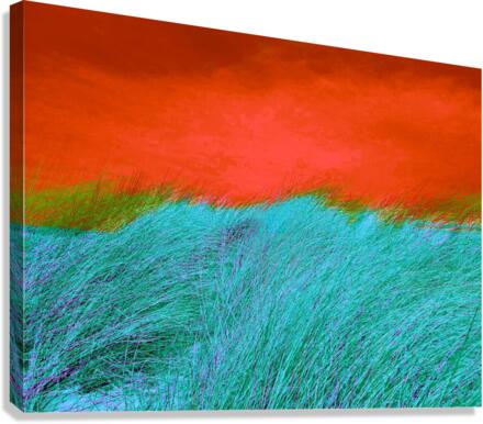 Dune 4 Canvas Print