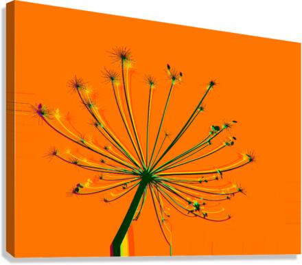 Tikler 3 Canvas Print