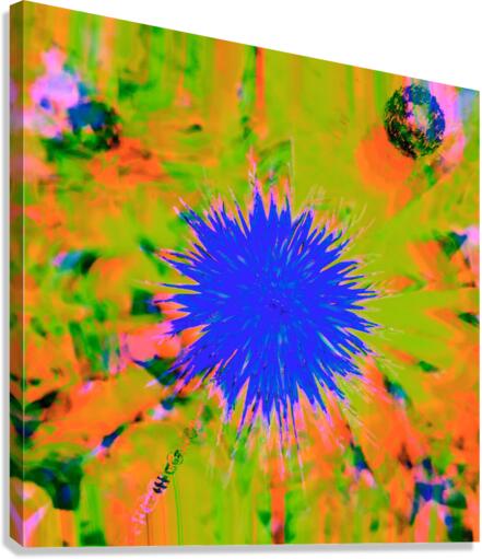 Hover 6 Canvas Print