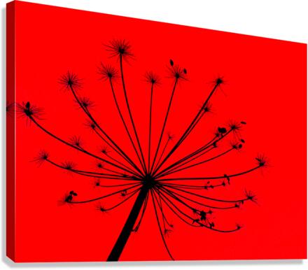 Tikler 1 Canvas Print