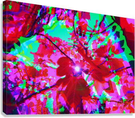 Figrow 1 Canvas Print