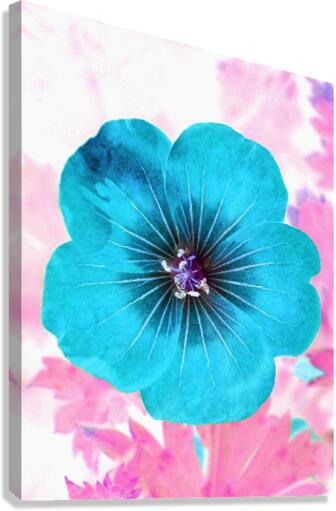 Blue Petl2 Canvas Print