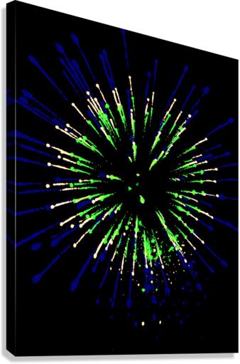 Berst 1 Canvas Print