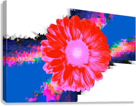 Orangebom 8 Canvas Print