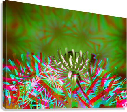 Spyda 1 Canvas Print