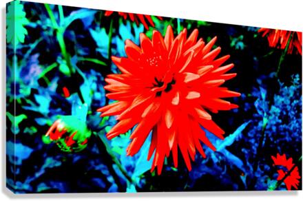 Spyk 2 Canvas Print