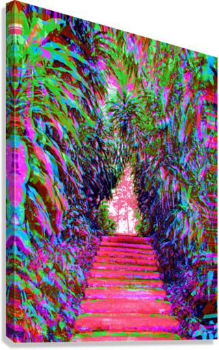 Stepz 5 Canvas Print