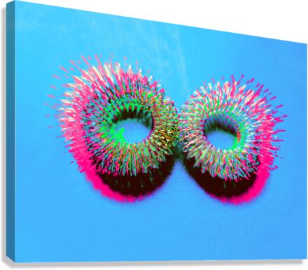 Sprung4 Canvas Print