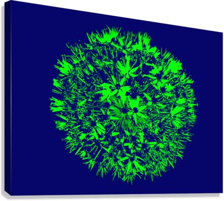 Flarer 9 Canvas Print