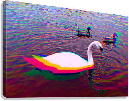 Sefton 2 Canvas Print