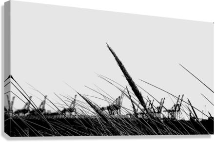 Swept 1 Canvas Print