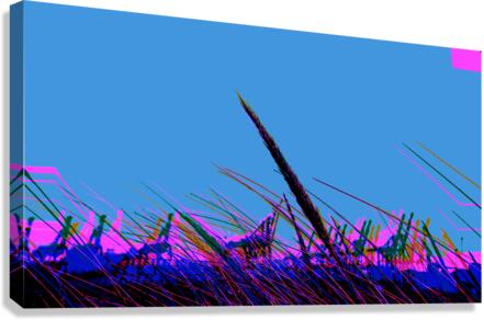 Swept 2 Canvas Print