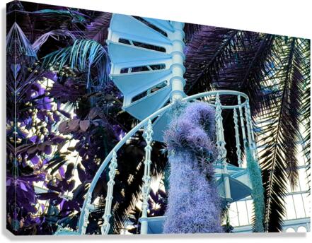 Spiral 1 Canvas Print