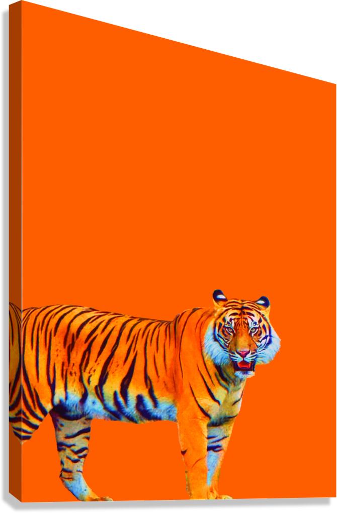 Suma 1 Canvas Print
