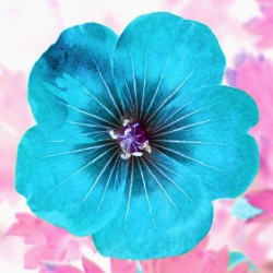 Blue Petl2