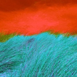 Dune 4