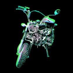 Monkey Bike Invert 2