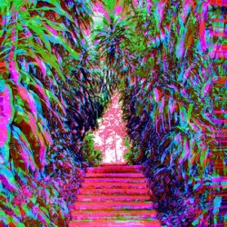 Stepz 5