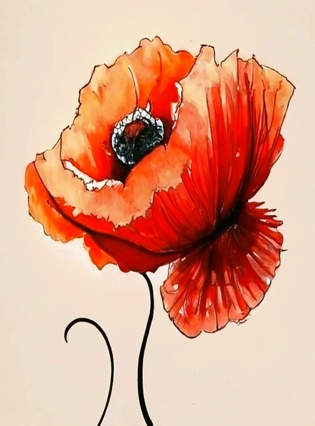red poppy in the field Print