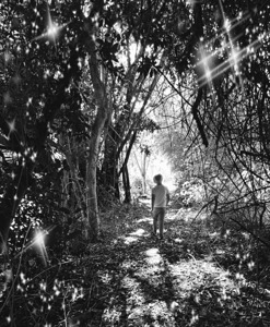 Untitled design 20240321 211843 0000