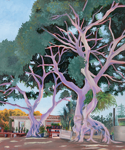 AndersonsFicus