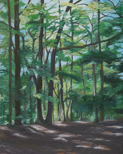 Forest Glow