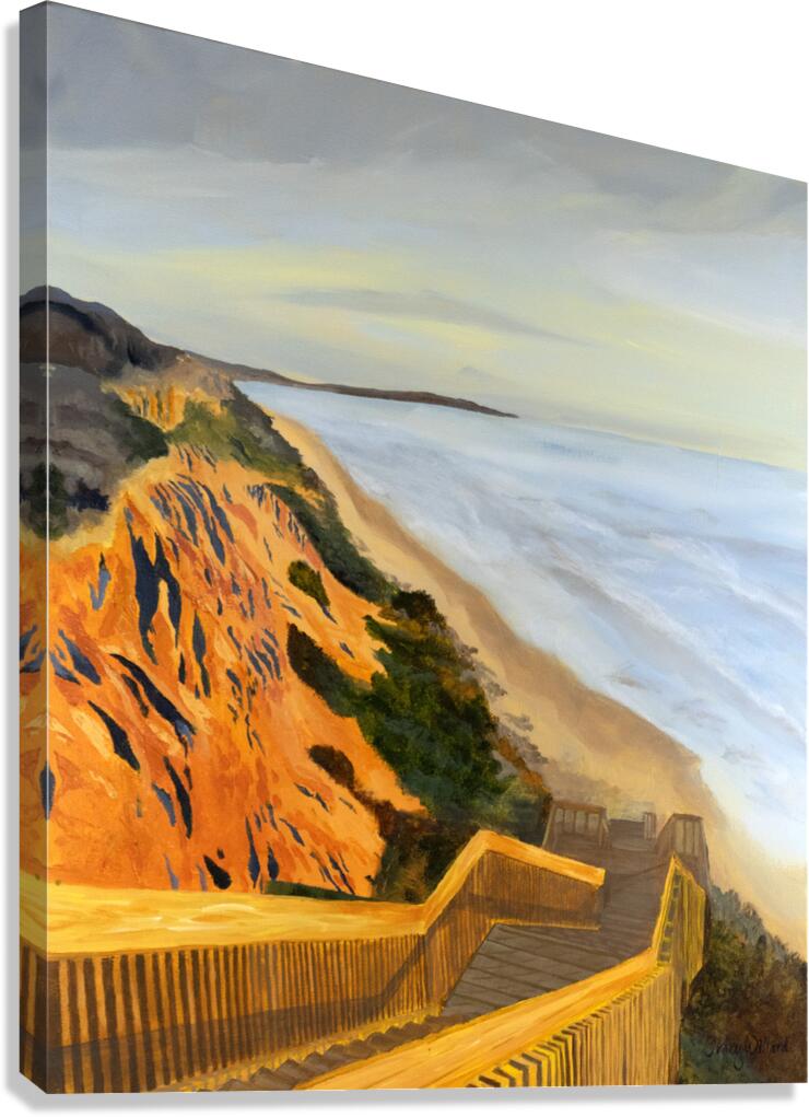 turtles Canvas Print