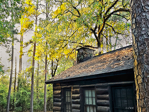 RESPITE CABIN_Holt_RezN888