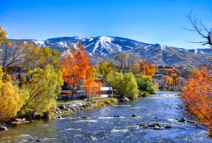 Yampa Flows_Holt_RezN888