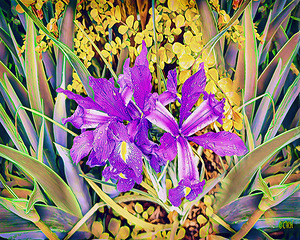 FLORAL RAIN_Holt_REZN888